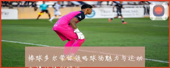 棒球多尔带你领略球场魅力与运动激情的精彩瞬间