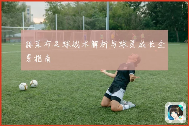 赫莱布足球战术解析与球员成长全景指南